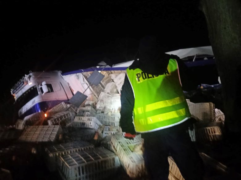 Drób na drodze. Wypadek ciężarówki przewożącej kury/fot.Policja Pomorska