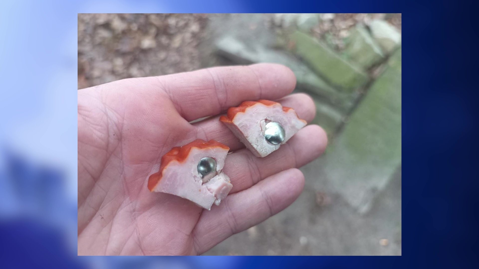 Przeszkadzały jej psie odchody, dlatego w kiełbasę włożyła pinezki