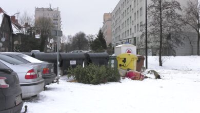 Co zrobić z bożonarodzeniowym drzewkiem? Podpowiadamy