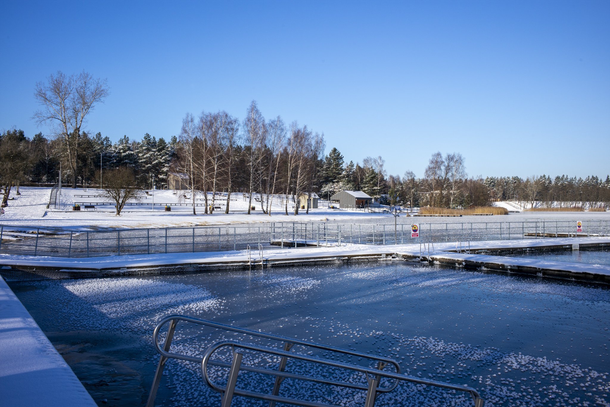 Jaworzno chce wprowadzić kartę mieszkańca. Sosina w Jaworznie, Fot. Paweł Jędrusik
