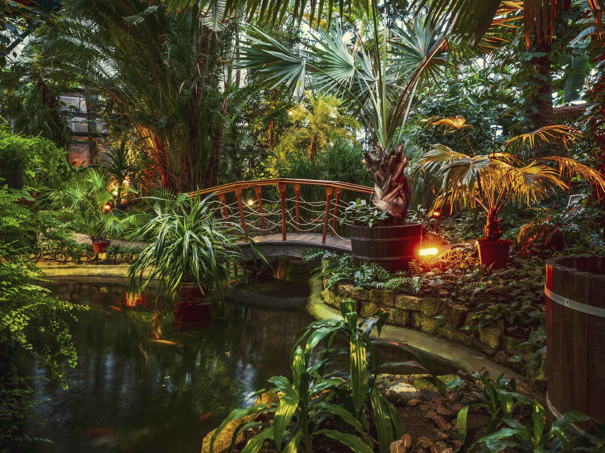 Gliwicka Palmiarnia chwali się wynikami/fot.UM Gliwice