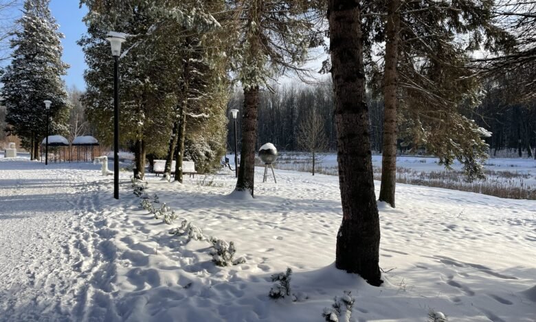 Park Śląski zimą