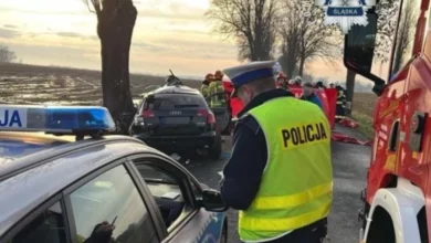 Policja szuka świadków tragicznego wypadku w Żernicy. Fot. KMP w Gliwicach