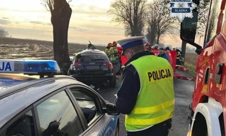 Policja szuka świadków tragicznego wypadku w Żernicy. Fot. KMP w Gliwicach
