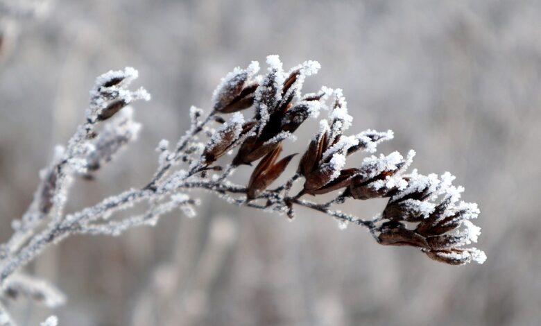 Pogoda: Zima zostanie z nami na dłużej?/fot.pixabay.com