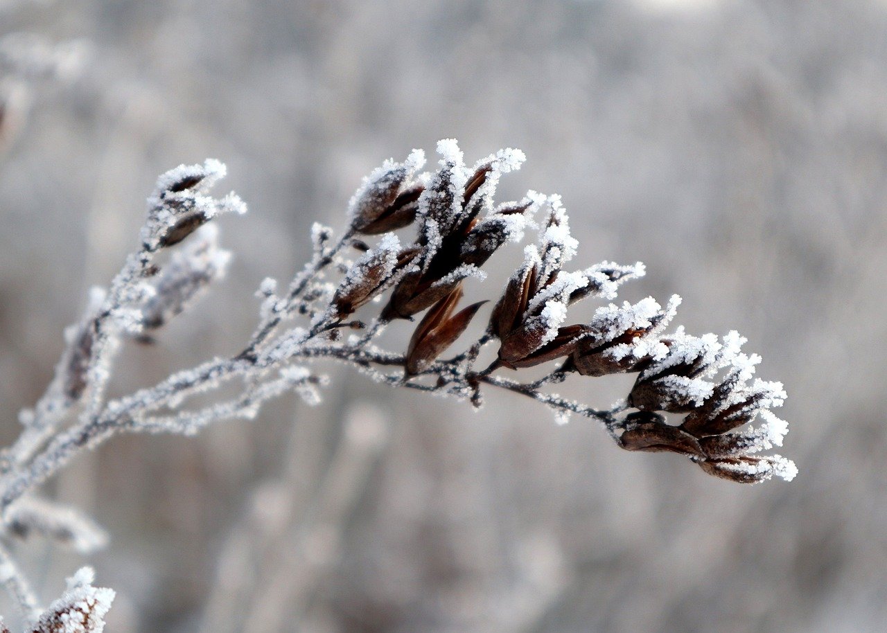 Pogoda: Zima zostanie z nami na dłużej?/fot.pixabay.com