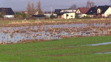 Przyszowice: woda zalewa posesje. Zobaczcie wideo