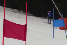 Europejskie mistrzostwa w narciarstwie dla lekarzy. Wideo