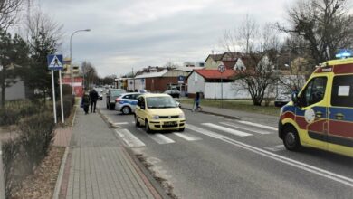 Dziewczynka na hulajnodze wjechała wprost pod pandę/fot.Policja Śląska