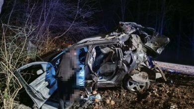 Uderzył w drzewo. Auto stanęło w płomieniach/fot.Policja Lubelska