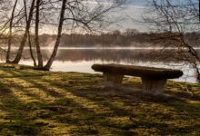 Chłopiec wpadł do zbiornika wodnego. Nie żyje/fot.pixabay.com