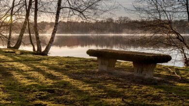 Chłopiec wpadł do zbiornika wodnego. Nie żyje/fot.pixabay.com