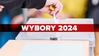 wybory