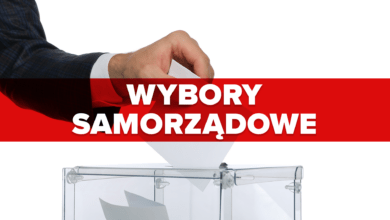 wybory