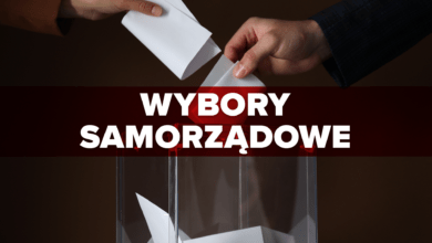 wybory