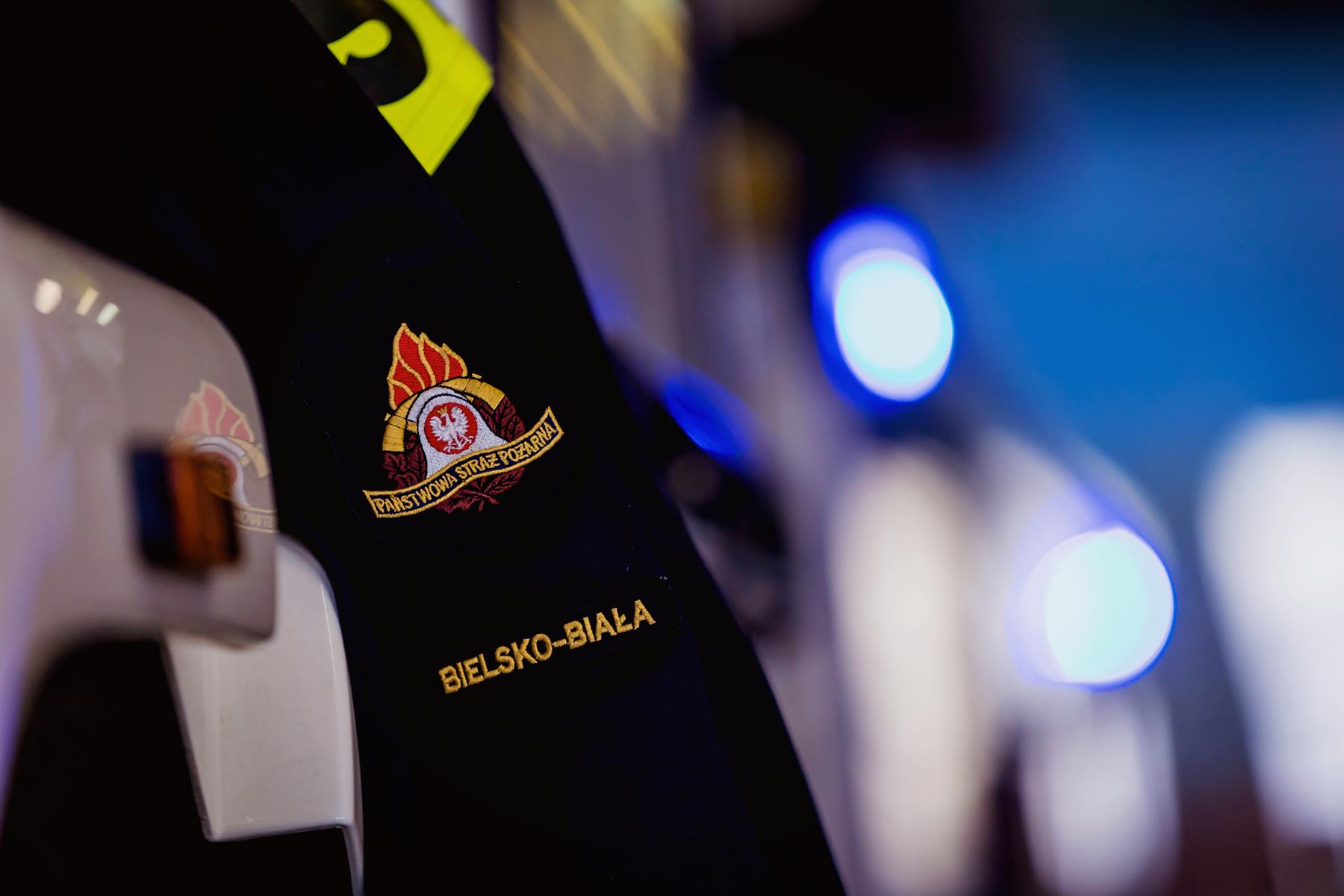 Dziecko utknęło na drzewie, ratowali je strażacy. Fot. PSP Bielsko-Biała