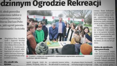 Tu stanie wielki miś w Raciborzu