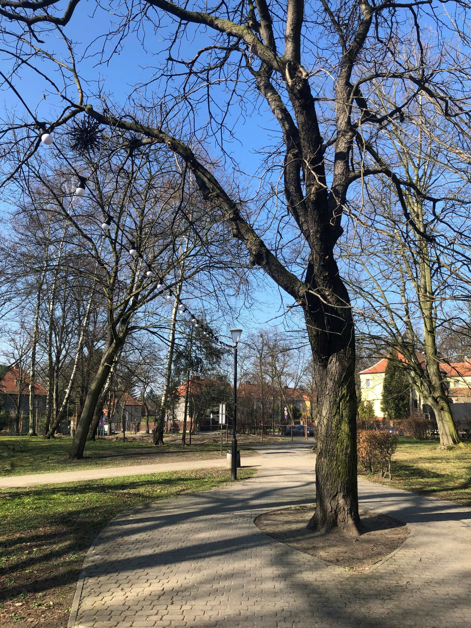 Gliwice: Nowa odsłona "okrąglaka" na placu Grunwaldzkim/fot.UM Gliwice