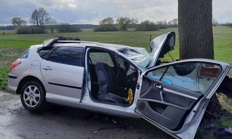 Peugeot uderzył w drzewo. Dwie osoby nie żyją/fot.Policja Lubelska