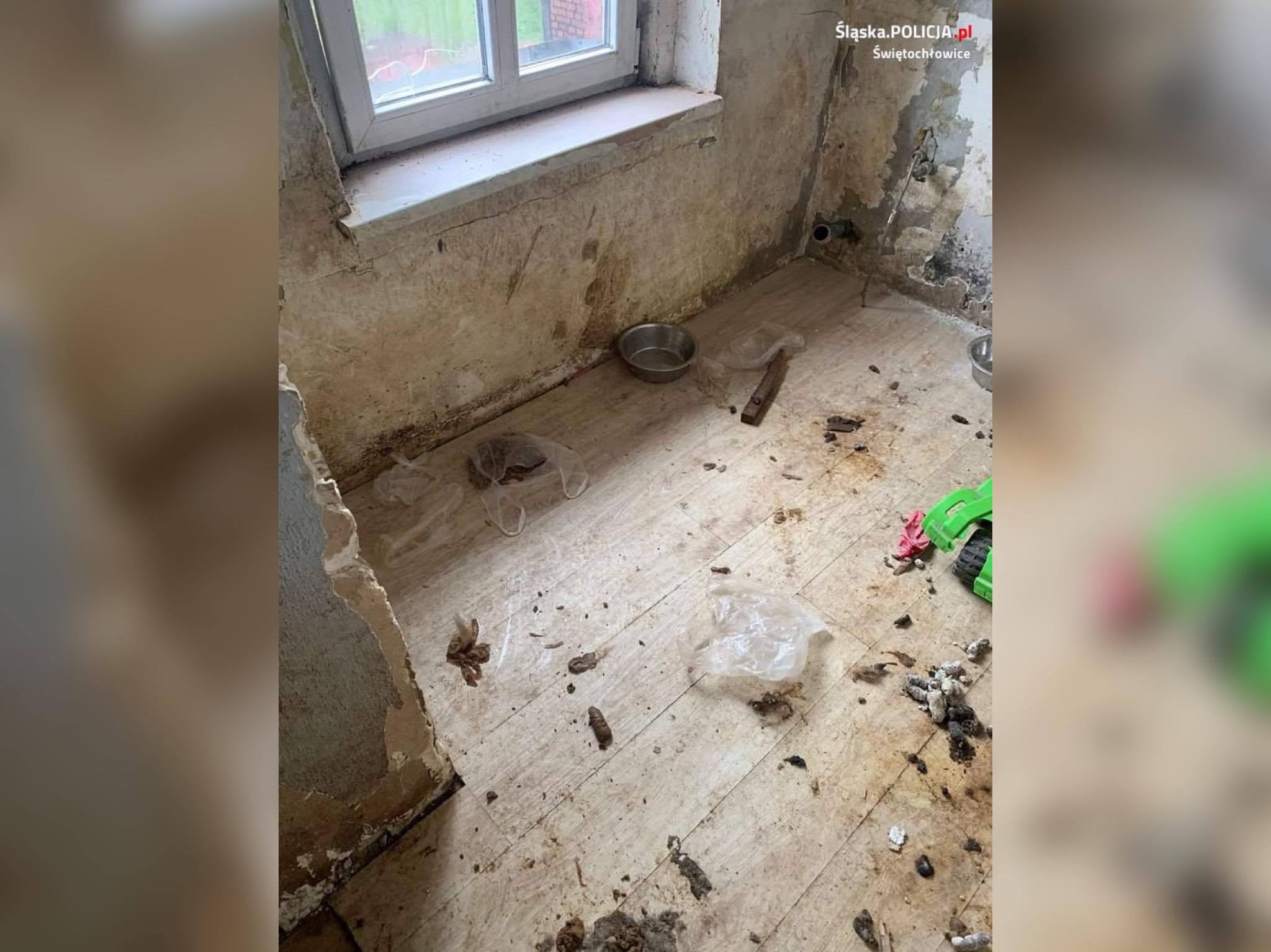 Zamknął psy w mieszkaniu na miesiąc. Nie miały co pić i jeść/fot.Śląska Policja