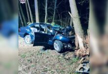 BMW uderzyło w drzewo. Kierowca i pasażer nie żyją/fot.Policja Lubelska