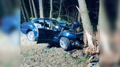 BMW uderzyło w drzewo. Kierowca i pasażer nie żyją/fot.Policja Lubelska