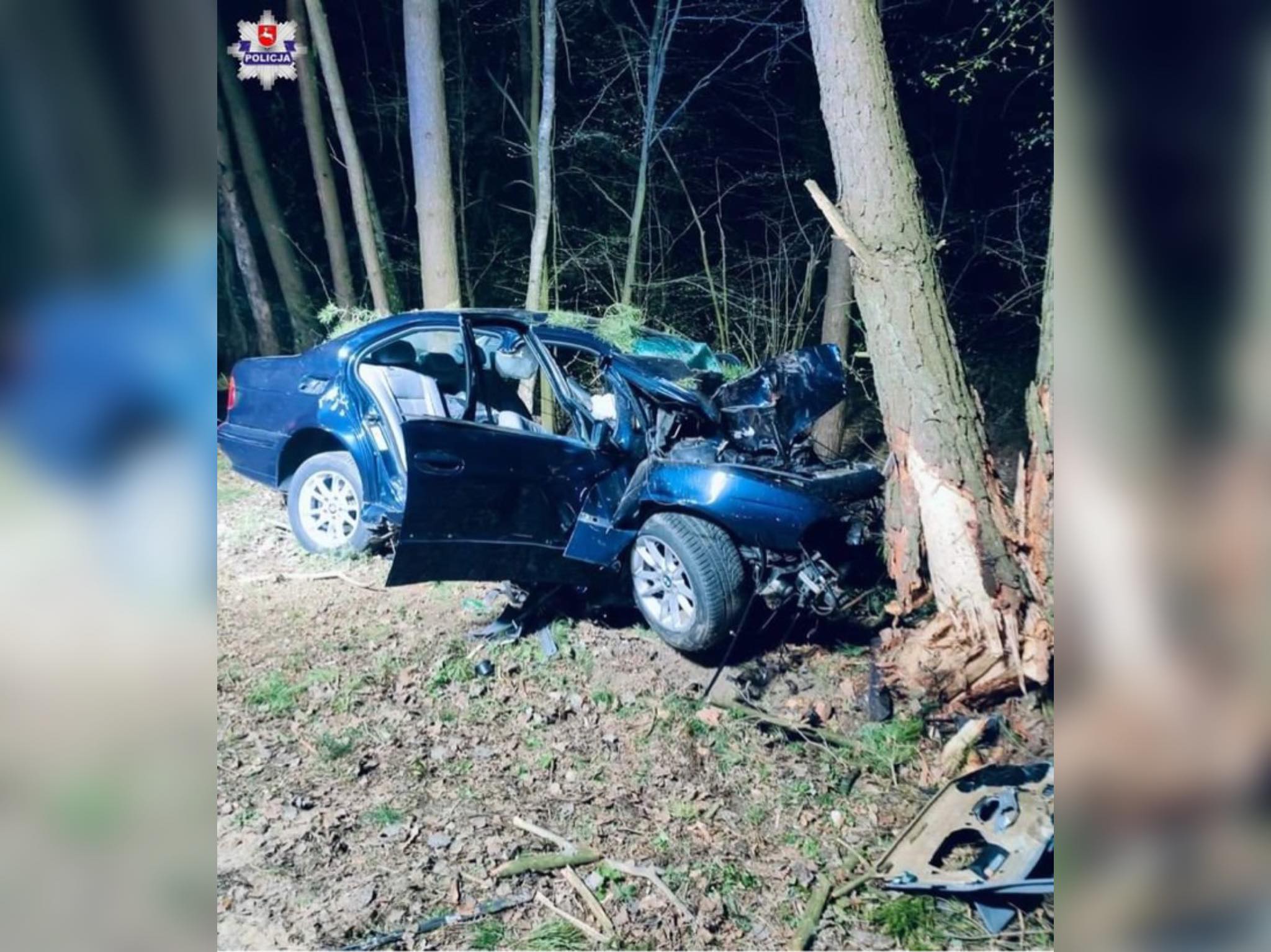 BMW uderzyło w drzewo. Kierowca i pasażer nie żyją/fot.Policja Lubelska