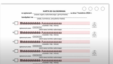 Jak oddać ważny głos w wyborach? PKW informuje