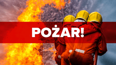 Pożar w Zabrzu. Ewakuowano lokatorów