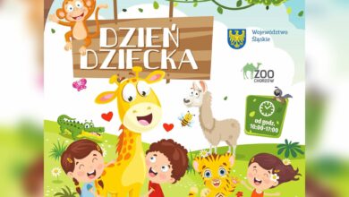 Dzień Dziecka w chorzowskim zoo/fot.ZOO Chorzów