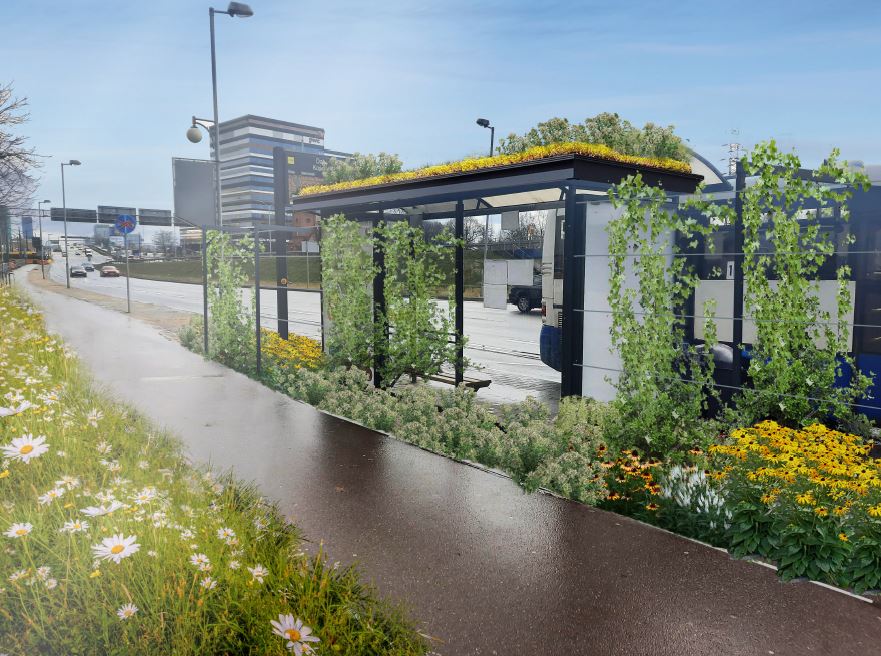 Będą kolejne zielone przystanki w Katowicach. Fot. UM Katowice