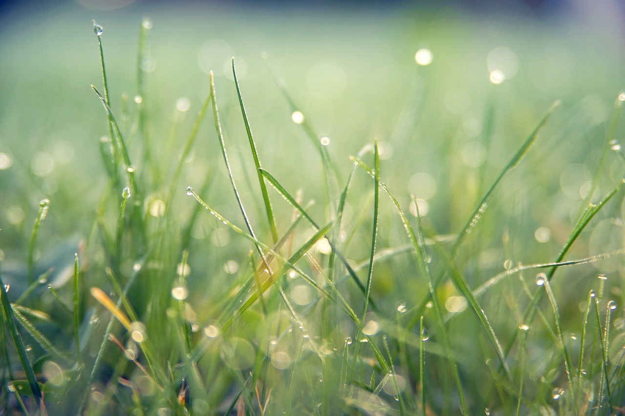 Pogoda na Boże Ciało i długi weekend/fot.pixabay.com