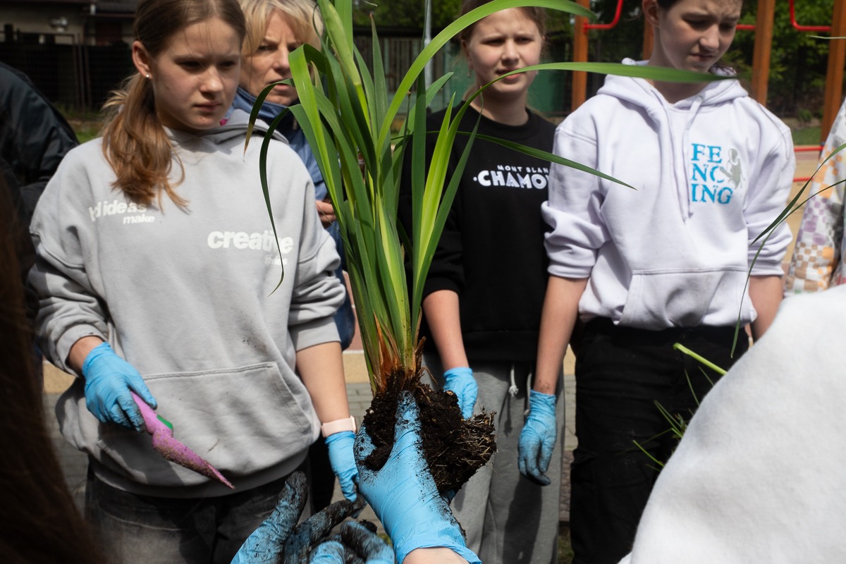Metropolia zachęca do zakładania ogrodów deszczowych. Fot. GZM