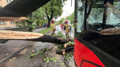 Śląskie: Drzewo przewróciło się na autobus. Kilka osób rannych/fot.Komeda Powiatowa PSP w Żywcu