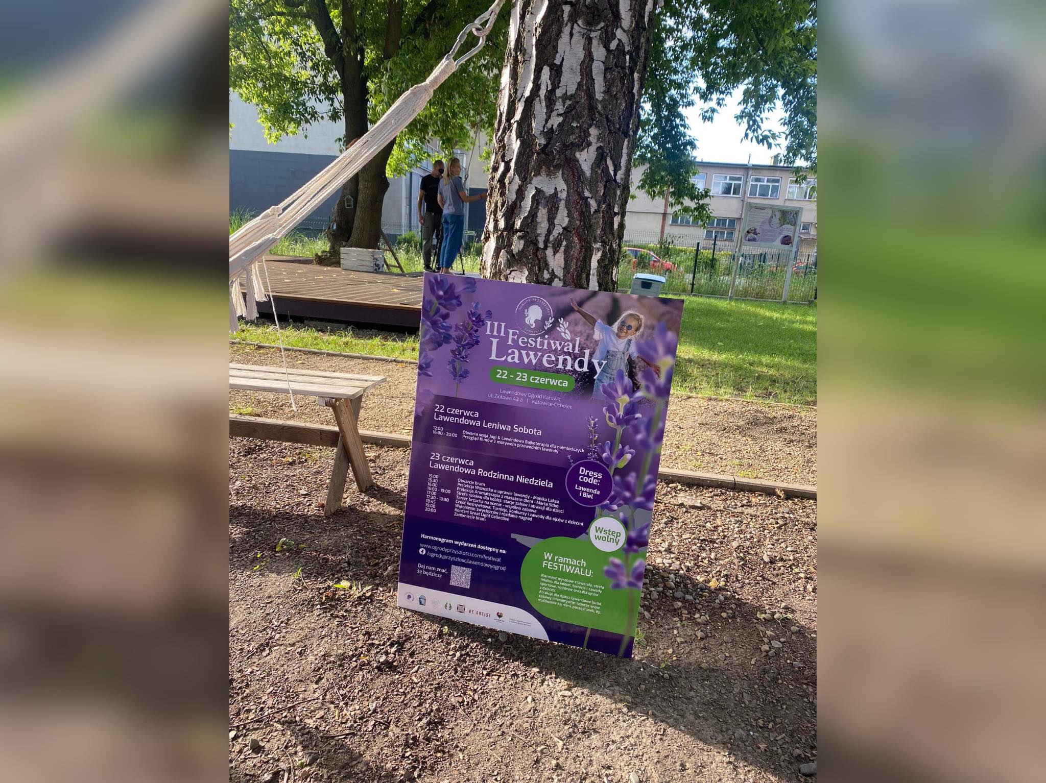 Festiwal Lawendy w Katowicach/fot.mat.prasowe