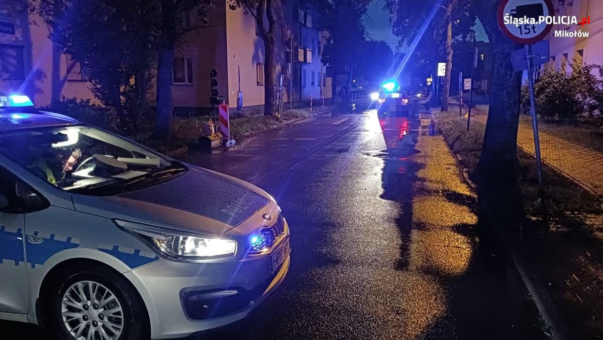 Wypadek w Mikołowie. 93-latka zmarła w szpitalu/fot.Policja Śląska