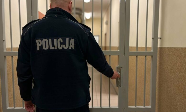 17-latek znęcał się nad matką i babcią. Fot. Policja Śląska