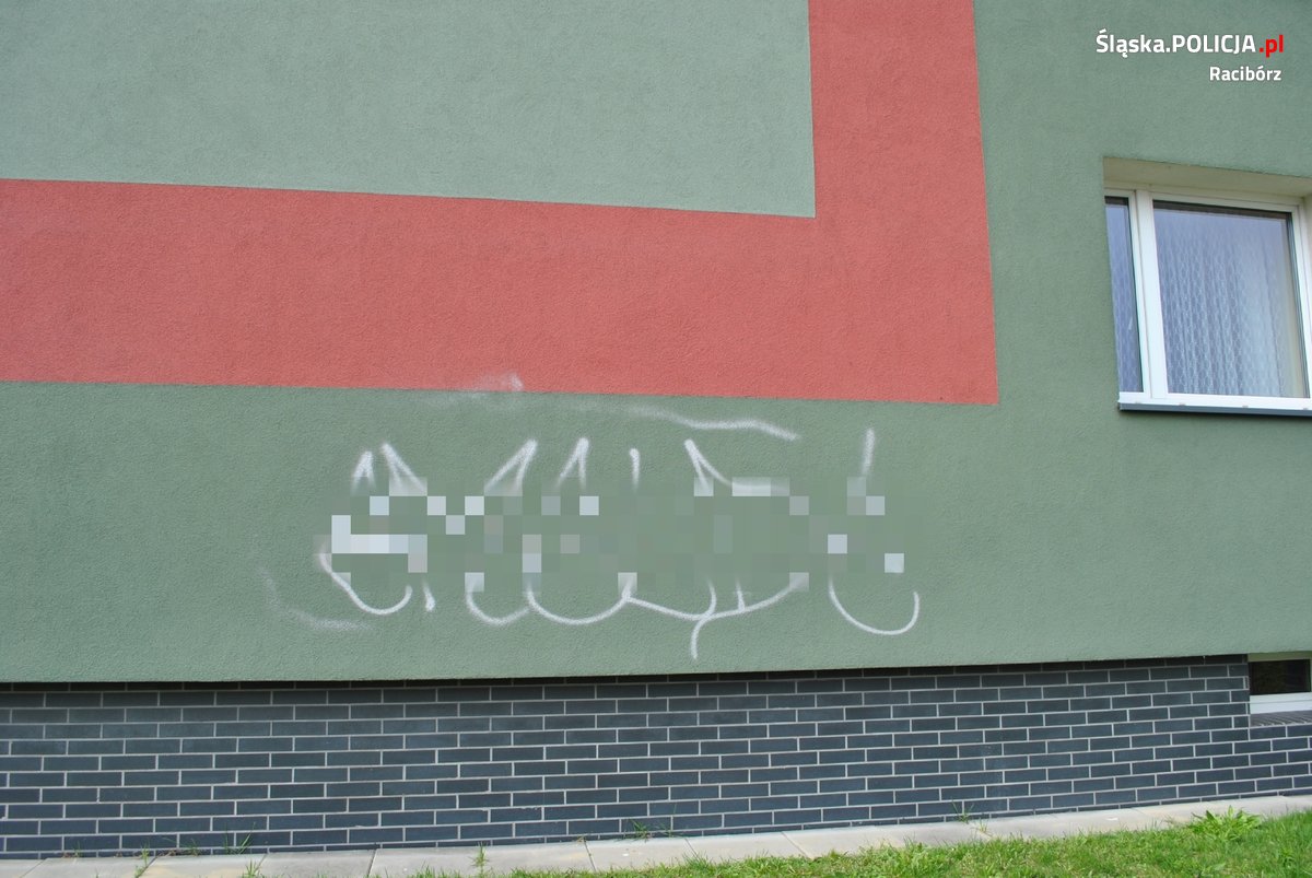 44 zarzuty dla wandala z Raciborza/fot.Śląska Policja