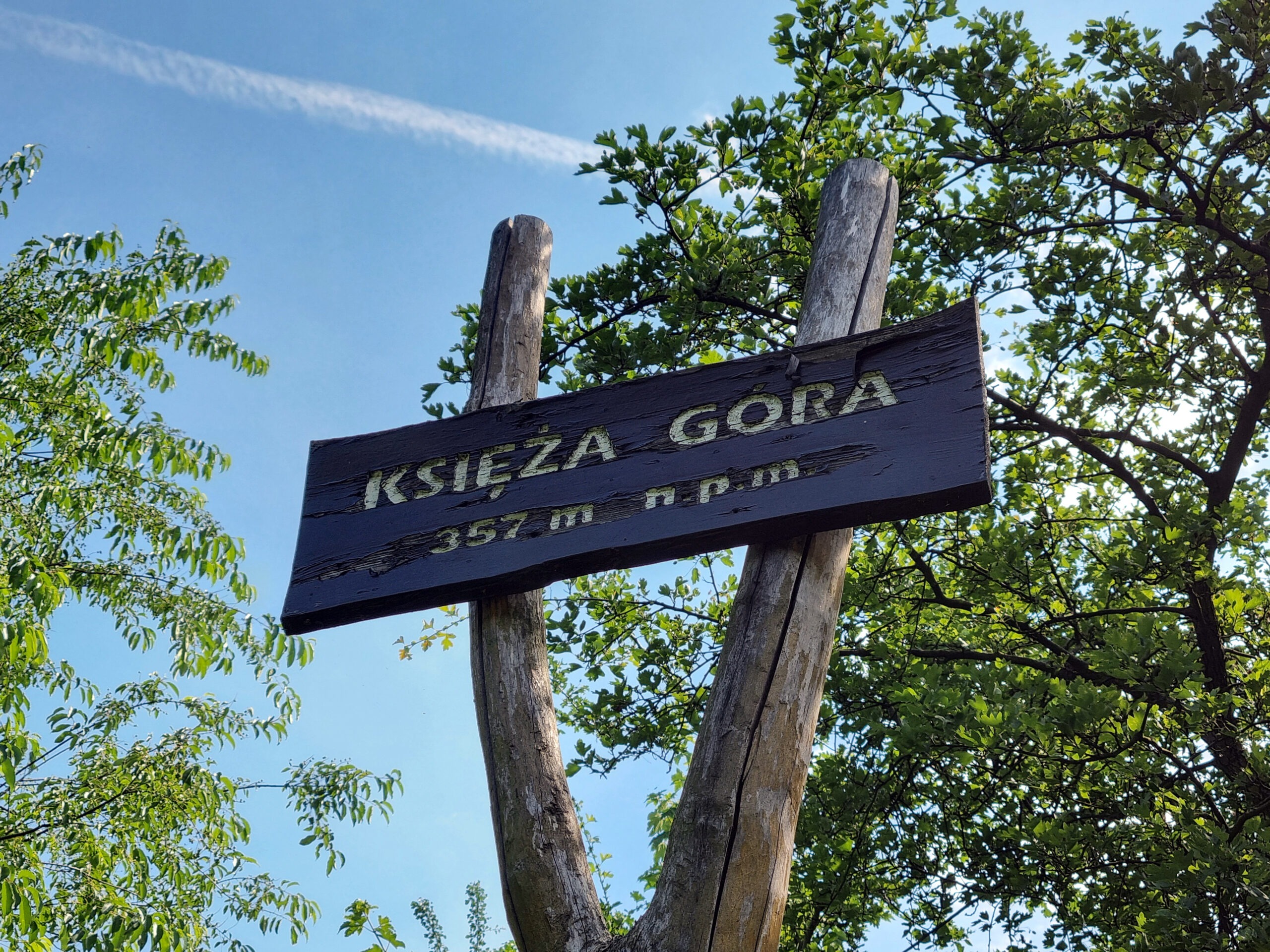 Park w Radzionkowie. Księża Góra. Fot. Tomasz Borówka