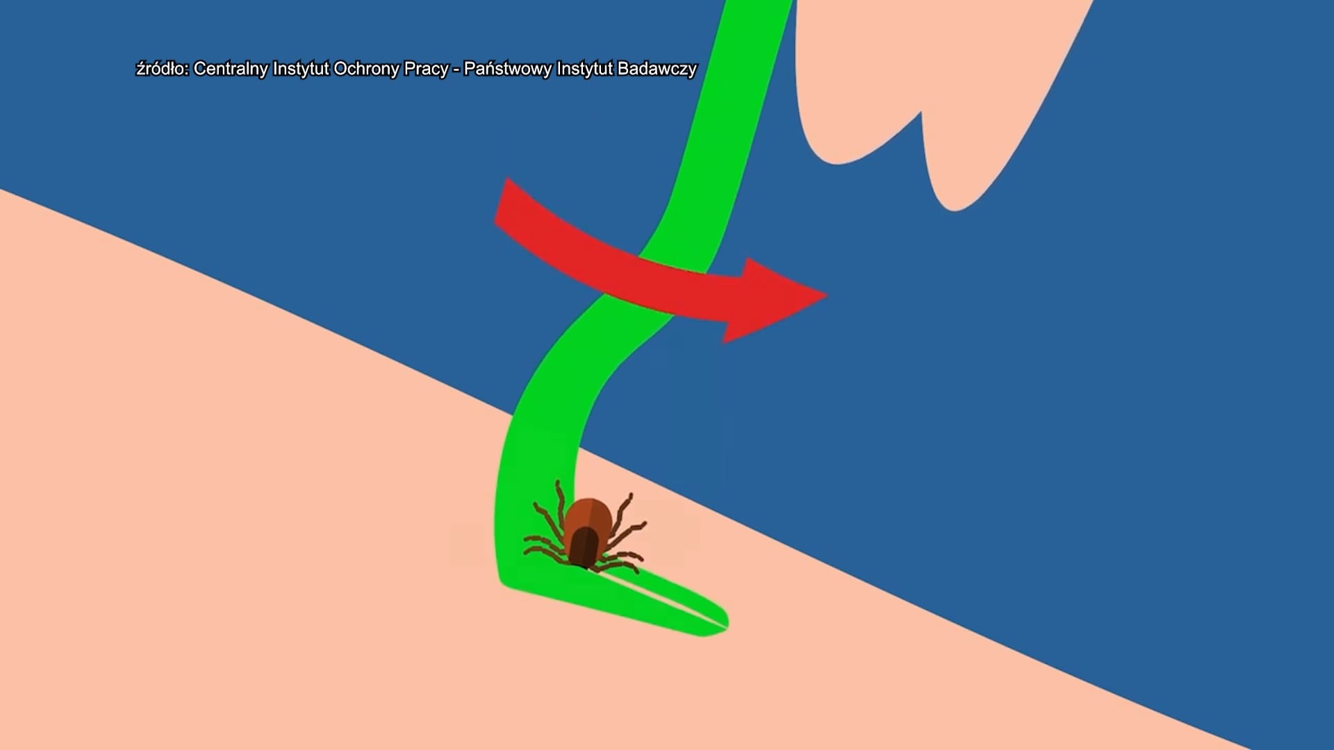 Lato... to zagrożenia. Jakie?