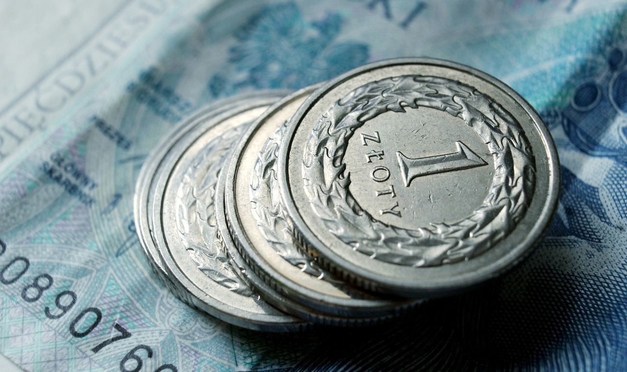 Rusza nabór wniosków o 300 złotych/fot.pixabay.com