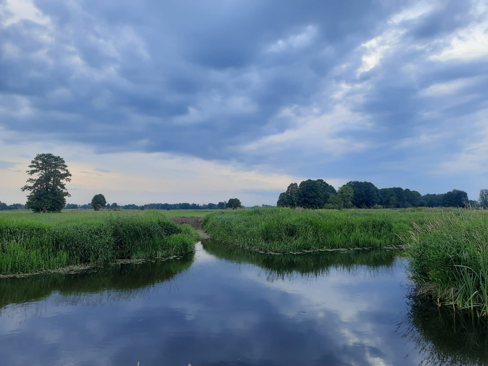 Pogoda: W tym tygodniu niebezpieczne zjawiska/fot.IMGW