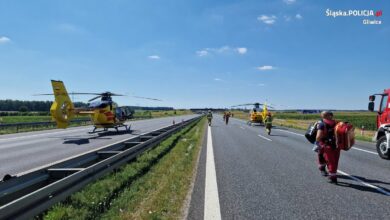 Tragedia na A4 w Gliwicach. Policja podaje szczegóły/fot.Śląska Policja