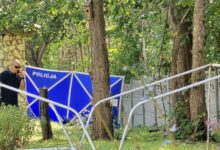 To Jaworek? Zrobią badania DNA/fot.Fatima Orlińska