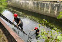 Pojedynek na noże w Katowicach. Jedna osoba nie żyje/fot.KMP Katowice