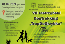 DogTrekking2024