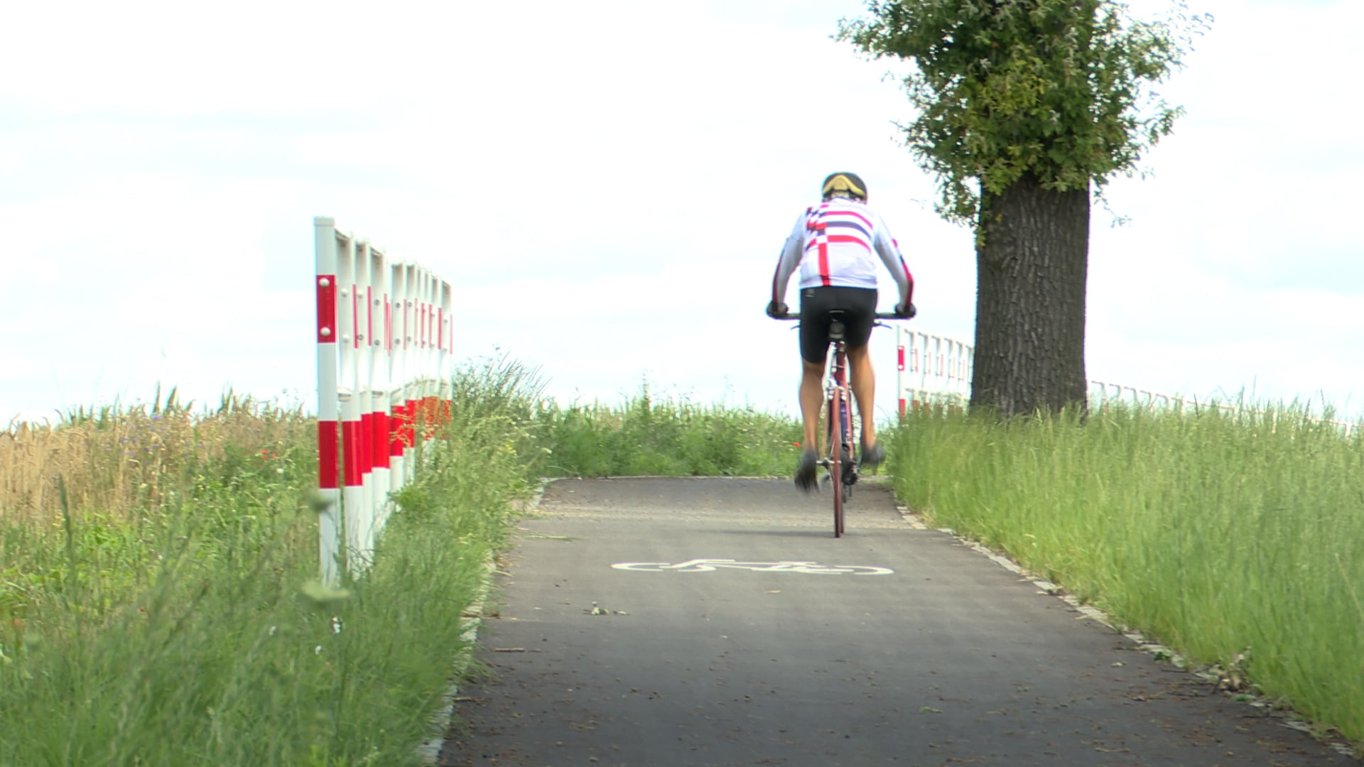 Śląskie: Rowerem do miejsc wypoczynku
