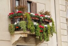 Katowice: Wystartował konkurs na najpięknieszy balkon/fot.poglądowe/www.pixabay.com