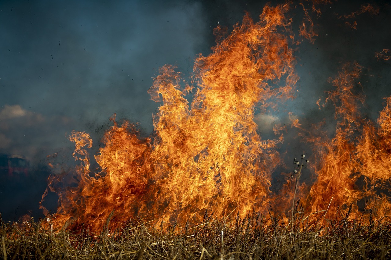 Śląskie: Nagroda dla tego, kto wskaże podpalacza/fot.pixabay.com