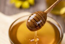 Śląskie Dni Miodu w Pszczynie PROGRAM/fot.pixabay.com